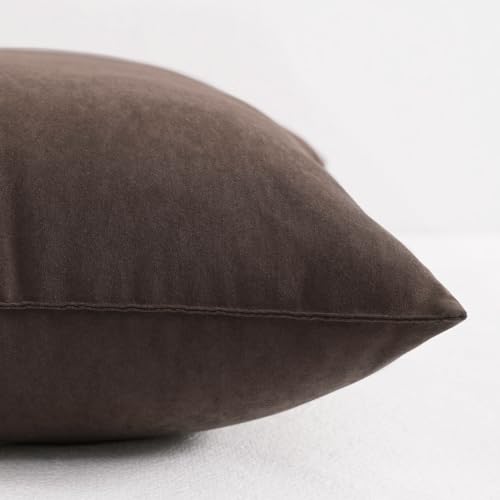 NTBAY Toddler Pillows, Set of 2, 13"x18", Dark Brown - color: Dark Brown, size: 13"x18"