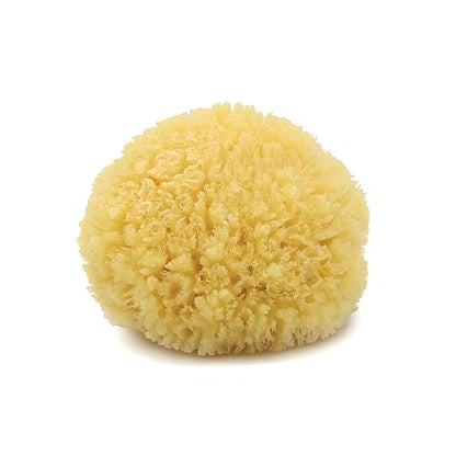 Neptune Caribbean Sea Sponge, Medium, Approx. 5-6 in, Exfoliating | Hand cut so size and shape vary slightly. Eco-friendly, biodegradable, ultra-soft for face and body - size: 1 Count (Pack of 1)
