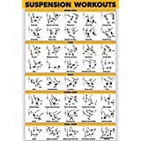 Palace Learning QUICKFIT Suspension Workout Exercise Poster - (Laminated, 18" x 24"), Hallway