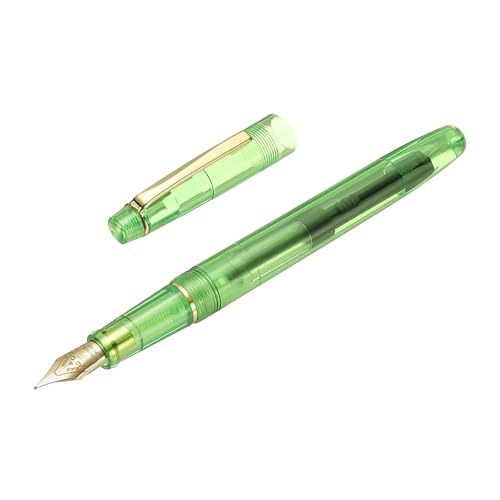PATIKIL Fountain Pen Medium Nib, Fountain Pen Barrel Handcrafted Pen for Professional Office Journaling Gifts, Transparent Green - color: Transparent Green