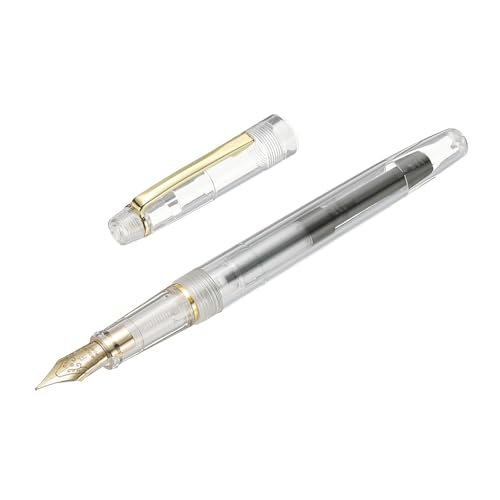 PATIKIL Fountain Pen Medium Nib, Fountain Pen Barrel Handcrafted Pen for Professional Office Journaling Gifts, Transparent White - color: Transparent White