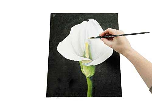 Senso Clear Primed Linen Stretched Canvas - Multi-Media Stretched Canvas for Oils, Acrylics, Pastels, & More! - 12x16 - size: 12"x16"