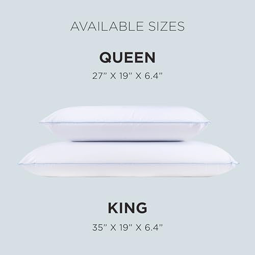 TEMPUR-Pedic TEMPUR-Cloud Dual Cooling Pillow, Queen-2-Pack, Queen, White 2 Count - color: Queen, size: 2