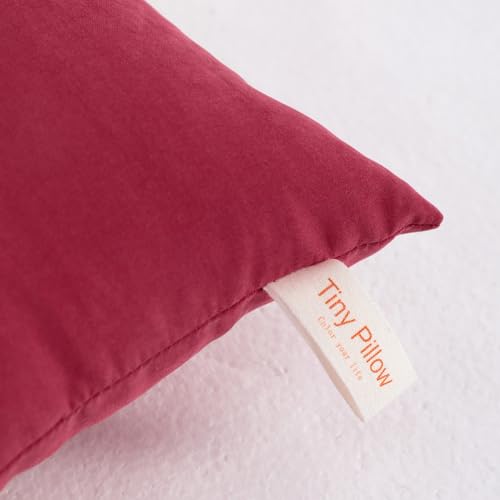 NTBAY Tiny Pillows, Set of 2, 7"x11", Red - color: Red, size: 11"x7"