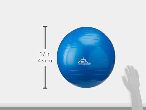 Black Mountain Products Exercise Stability Yoga Ball, Foot Pump, Ball Plug, Plug Puller, 2000 Lbs Static Weight Capacity Antiburst - color: Blue, size: 45cm
