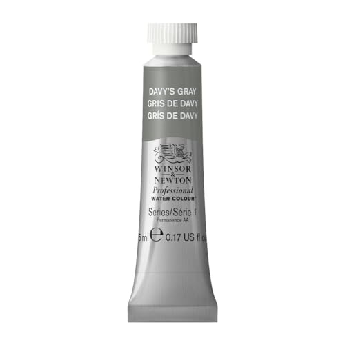 Winsor & Newton Professional Watercolor, 5ml Tube, Davy's Gray | Unrivalled Transparency, Single Pigment Vibrant Colors, Archival Permanence, Heritage Watercolors, Finest Pigments - color: Davy's Gray, style: 0.17-oz Tube