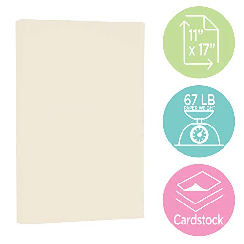 JAM PAPER Vellum Bristol 65lb Cardstock - 11 x 17 Ledger Size Coverstock - 147 gsm - Creme - 50 Tabloid Sheets/Pack - color: Cream, size: 11" x 17"