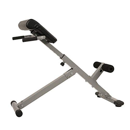 Sunny Health & Fitness Multi-Function Roman Chair - color: Sliver