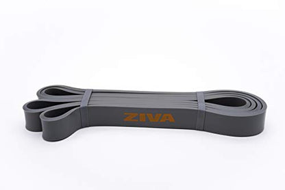 Ziva PRO Portable Resistance Band - Pull Up Assistance Exercise Bands for Home Fitness, Stretching, Strength Training, Physical Therapy – Medium Resistance, 41" L, 22-44 lbs. Tension - size: Medium