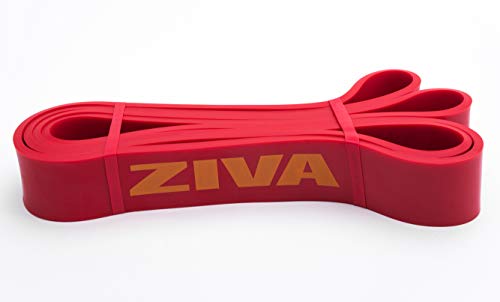 Ziva PRO Portable Resistance Band - Pull Up Assistance Exercise Bands for Home Fitness, Stretching, Strength Training, Physical Therapy – Heavy Resistance, 41" L, 33-55 lbs. Tension - size: Heavy