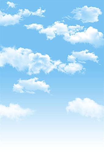 4x6ft Blue Sky and White Clouds Backdrop for Photography Vinyl Material | Clear Sky Photo Background Banner Airplane Theme Baby Newborn Birthday Cake Table Party Decorations Kid Portrait Studio Props - size: 4x6ft
