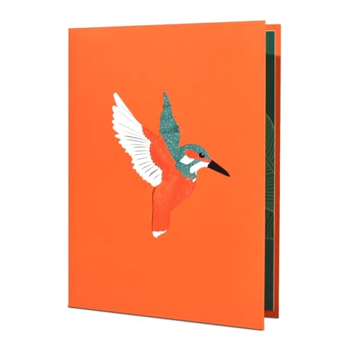 3D Hummingbird Pop Up Card Mother’s Day Card Happy Birthday Card Anniversary Card Valentine Card Thank You Card with Envelope and Blank Note. - color: Hummingbird