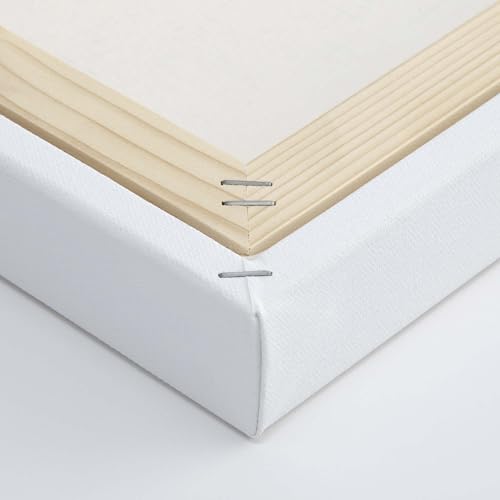 The Edge Eco-Friendly Recycled Cotton Stretched Canvas for Painting - 16x20 Box of 3 - Medium-Textured, Triple Acrylic Primed All Media Painting Canvas, 320gsm, 1-1/2 in. Deep Pine Stretchers - size: 16x20 in