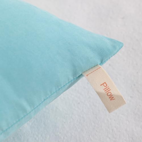 NTBAY Toddler Pillows, Set of 2, 13"x18", Aqua - color: Aqua, size: 13"x18"
