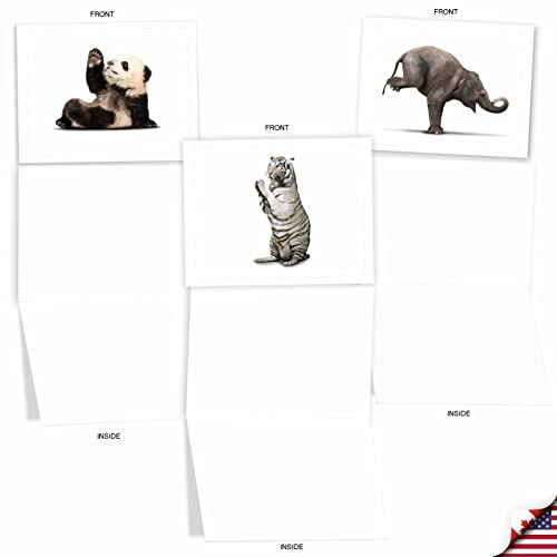 The Best Card Company - 10 Blank Yoga Note Cards (4x 5.12 Inch) - Boxed Notecards with Envelopes, Cute Animal Cards, Zen Assortment - Zoo Yoga M6547OCB - style: Zoo Yoga