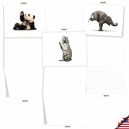 The Best Card Company - 10 Blank Yoga Note Cards (4x 5.12 Inch) - Boxed Notecards with Envelopes, Cute Animal Cards, Zen Assortment - Zoo Yoga M6547OCB - style: Zoo Yoga