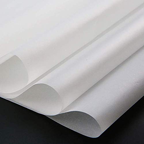 Yesallwas 50 Sheets White Carbon Transfer Paper Tracing Copy Paper, Idea for Wood/Paper/Canvas and Other Art Surfaces Tracing Copy(A4/8.3 x 11.5 Inches) - color: A4 White