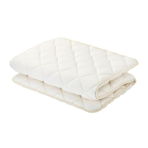 MORIRIN Japanese Floor Futon Mattress, Made in Japan, Twin - size: Twin