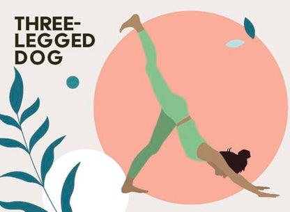 Yoga Asana Cards: 50 poses & 25 sequences (Wellness Practice Cards)