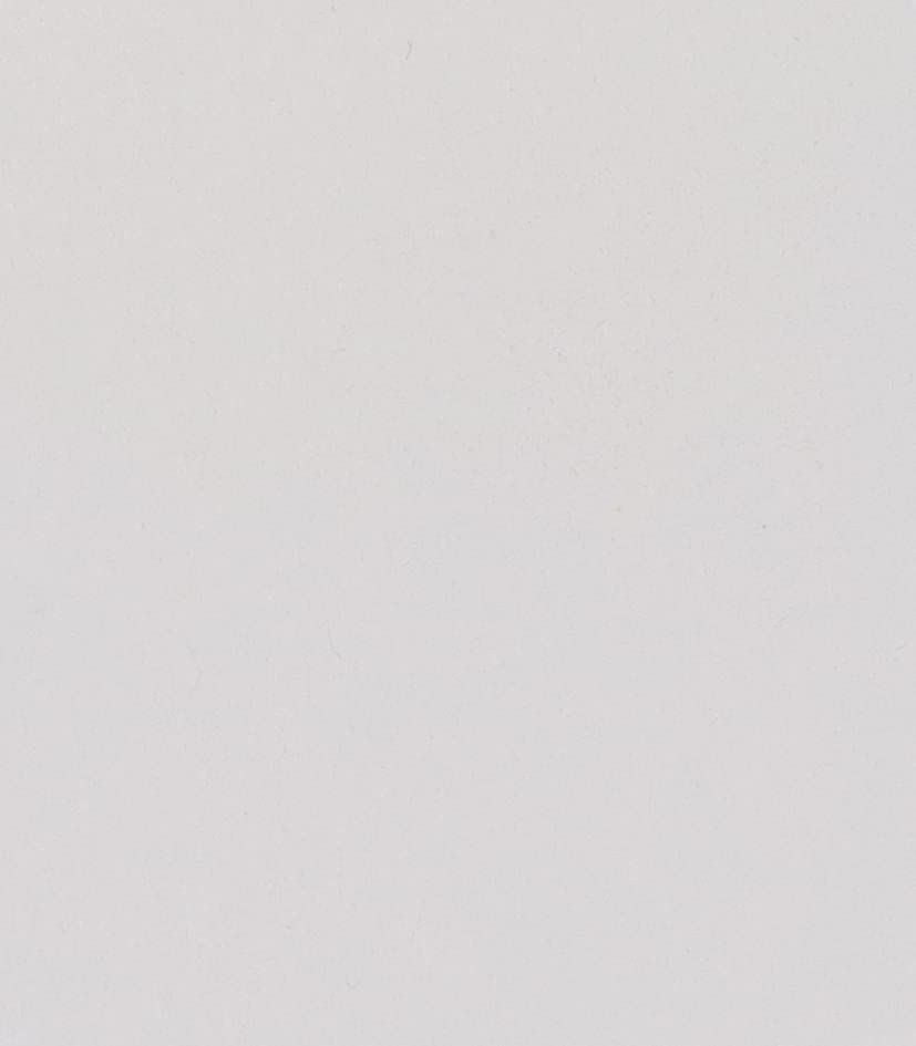 Schmincke HORADAM AQUARELL Titanium opaque white 15 ml, 14101006 - color: 101 titanium opaque white, size: 0.5 Fl Oz (Pack of 1)