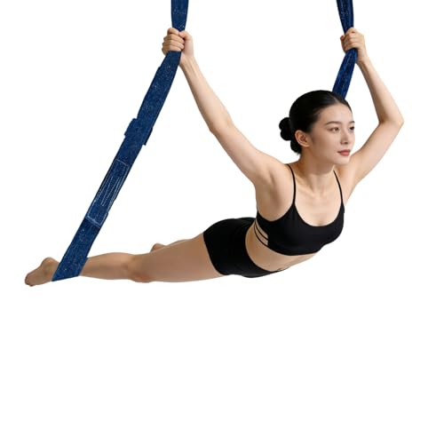 PRIOR FITNESS Aerial Strap Ropes,SGS Certified,9.8ft Body Loop Trapeze 2pcs - color: Glitter Blue