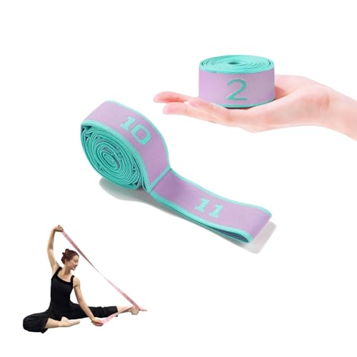 Multi-Loop Stretch Band - Yoga, Pilates, Ballet, and Physical Therapy Stretching Strap for Flexibility, Leg Stretching, and Exercise - Durable Stretching Equipment - color: Purple - 11 Loops