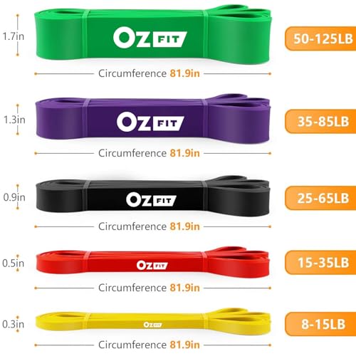 Pull Up Bands, Resistance Bands, Pull Up Assistance Bands Set for Men & Women, Exercise Workout Bands for Working Out, Body Stretching, Physical Therapy, Muscle Training