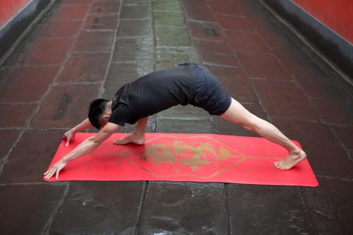 Liforme Zodiac Yoga Mat - Patented Alignment Design, Advanced Non-Slip Grip - color: Dragon Red