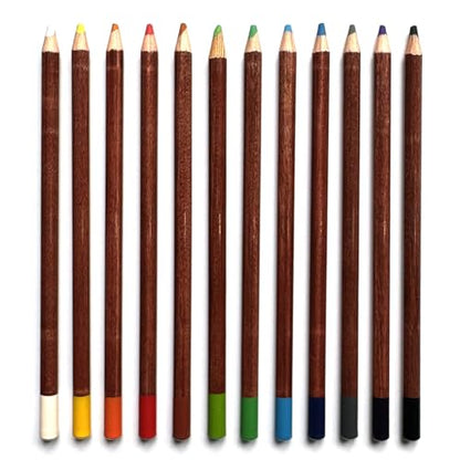12 Color Pastel Pencils, Excellent Lightfast & Color Coverage | Easy to Use, Cost-Effective for All Skill Level Users from Beginners, Students to Professionals & Artists