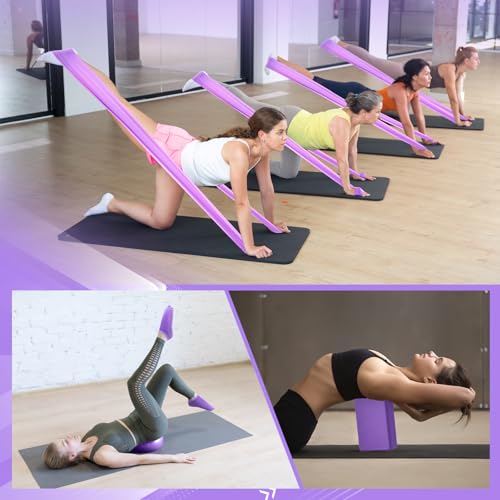 Halloscume 24 Pcs Pilates Kit, Home Pilate Equipment for Women, Pilates Ring and Ball Set with Stretching Strap, Water Bottle, Magic Circle, Yoga Ring, Gym Bag, Resistance Band, Anti Slip Sock - color: Purple