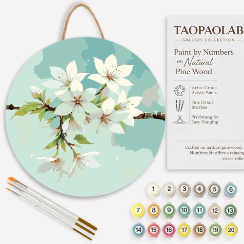 Botanical Paint by Numbers Kit for Adults on Wood Board – DIY White Cherry Blossom Branch Wood Craft Painting Kit, 12 in Round, Acrylic Paint Set, Beginner-Friendly, Relaxing Home Decor Gift - color: FM05164