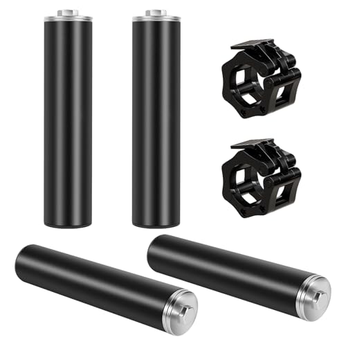 EVERYMATE Weight Plate Holder Power Rack Attachment 2 Inch Olympic Plate Storage Power Squat Rack Holder Weight Plates for 2x2 3x3 2x3 Power Cage Accessories Weight Plate Rack - color: B-1" hole(4pcs)-11.8 Inch