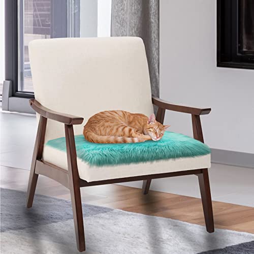 Softlife Blue Faux Fur Sheepskin Chair Cover Seat Cushion Pad Super Soft Area Rugs for Living Bedroom Sofa Dorm (1.6ft x 1.6ft, Light Blue) - color: Light Blue