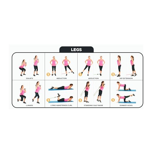 Bodylastics 특허받은 베이직 시리즈 저항 밴드 세트 - 스냅 감소 기술이 적용된 저항 밴드, 손잡이 2개, 발목 스트랩 2개, 도어 앵커 1개 및 휴대용 가방 1개 - color: 운동 가이드 포스터