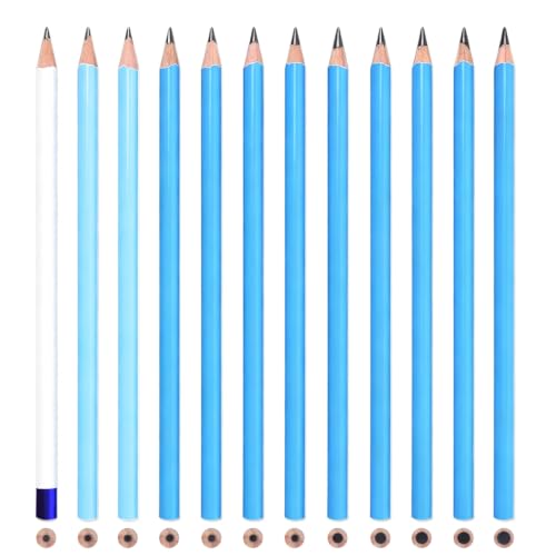 12 Graphite Pencils Professional Sketching Drawing Set,No Duplicates | 14B(soft) to H(hard),Charcoal Pencils,Art Supplies for Sketching Shading Blending, Gifts for Artists Adults Beginners - color: Black