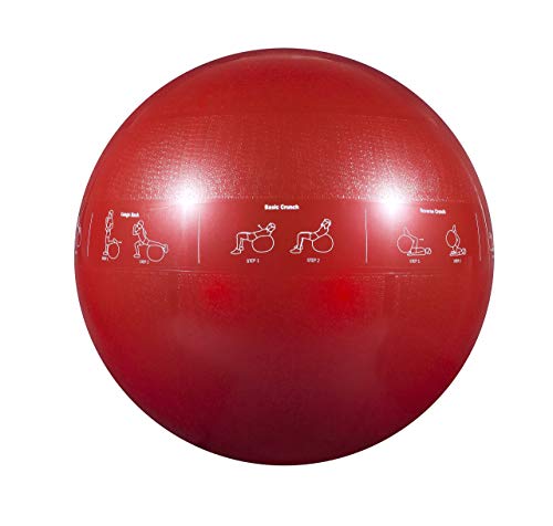 GoFit Professional Stability Ball 75cm Anti-Burst Exercise Ball for Core Strengthening, Balance Training, Yoga, Pilates & Physical Therapy, Non-Slip Surface, Hand Pump Included - color: Red, size: 65 cm