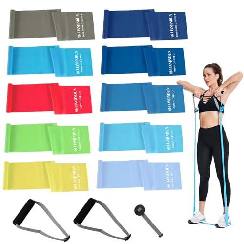 10 Pcs Professional Resistance Bands with Handles. Latex-Free, Elastic Band, Work Out Bands, Stretch Bands for Working Out Women or Men, Exercise Bands Set for Physical Therapy, Yoga, Pilates