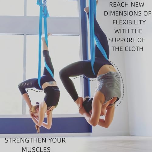 F.Life Aerial Silk Yoga Hammock & Swing for yoga Inversion,Strength training,starter hardware kit - color: blue