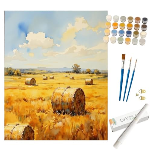 Hay Field Paint by Numbers Kit for Adults - DIY Golden Hay Bales in Meadow Painting Rolled on Canvas 16x20In, Acrylic Paint Set, Suitable for Beginners, Art for Home Decoration or Gifts - color: HSX02621, size: 16X20IN Rolled