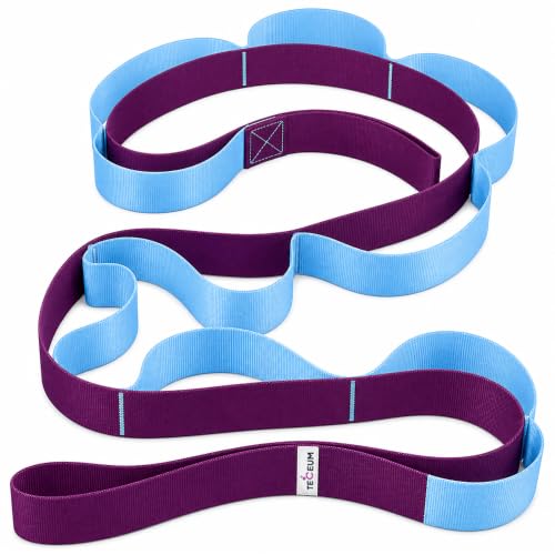 TECEUM Stretching Strap with 10 Loops for Physical Therapy & Rehab - color: Purple Blue, size: Polypropylene 1” W - 10 Loops