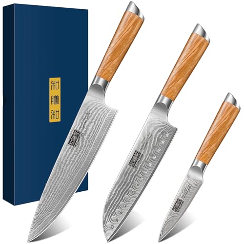 HOSHANHO Damascus Kitchen Knife Set 3PCS, Sharp Chef/Santoku/Fruit Knives | Professional Cooking Knife Set | Japanese Super Steel | 15° Edge | 62 HRC | Ergonomic Olive Wood Handle | Housewarming Gift - style: 3 Pieces Knife Set