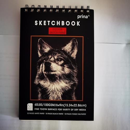 Prina Sketchbook Drawing Art Paper, Top Spiral Bound Sketch Pad, 50 Sheets 68lb/100gsm Acid-Free Drawing Paper, Art Sketchbook for Drawing Pad for Artists & Beginners and Adults, 6" x 9"