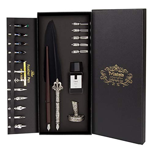 Calligraphy Set for Beginners, Wooden Dip Pen, Feather Quill, 19 Nibs, Ink Set, Gift Box
