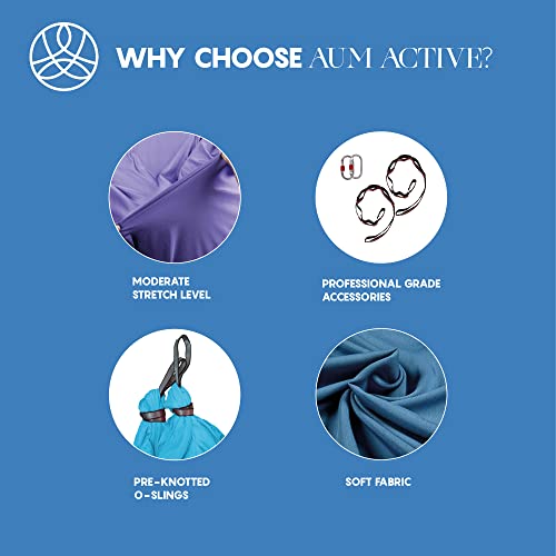 Aerial Yoga Hammock Swing, 4.5 Yards, Aerial Silks with Hardware - color: Sky-Blue, size: 4.5 yards