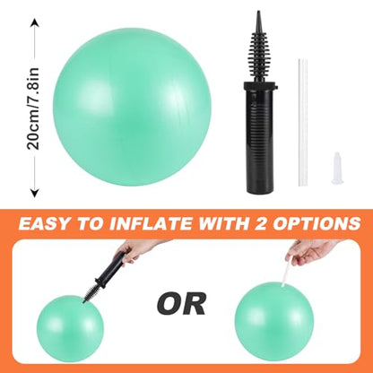 Tsikavo Pilates Ring, Pilates Ring Circle and Ball Set, 12 Inch Magic Circle Pilates Ring,9 Inch Small Exercise Ball,Resistance Bands Set, Home Pilates Equipment for Women - color: Teal