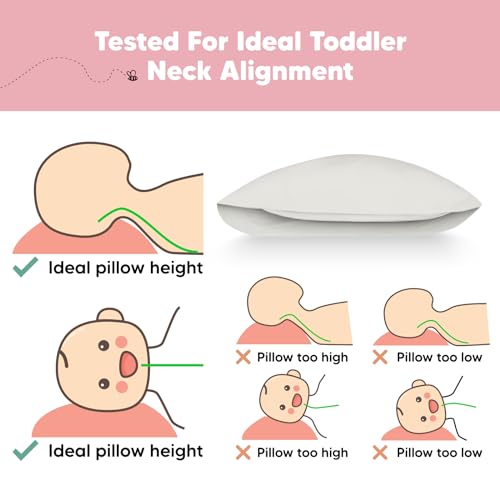 Toddler Pillow with Pillowcase, 13x18 My Little Dreamy Pillow (Clay) - color: Clay