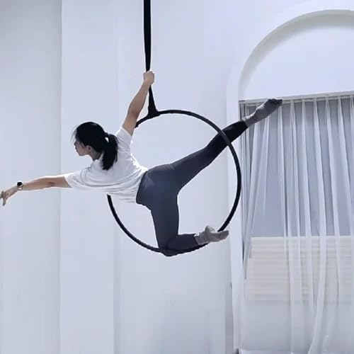 Endless Round Slings for Aerial Lyra Hoop Rig, Aerial Silks Handing Polyester Lifting Sling Spanset, Heavy Duty Polyester Capacity 5300 Lbs Vertical Capacity (Black, 2 FT) - color: Black, size: 2 ft