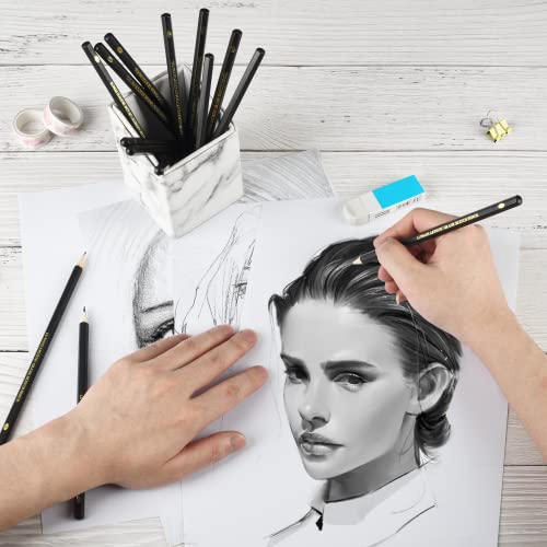 Luwans Drawing Pencils Set of 14 (B - 12B) Sketch Pencils for Drawing - Art Pencils for Shading, Sketching & Doodling | Professional Graphite Pencil for Artists & Beginners