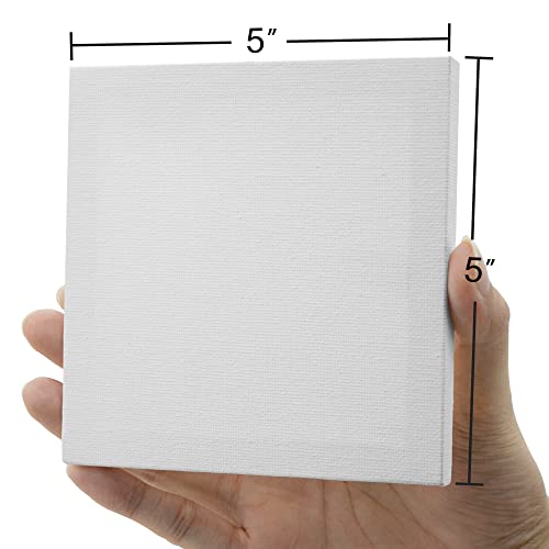 AUREUO Mini Stretched Canvas - 5x5 Inch/24 Pack - 2/5 Inch Profile Tiny Square Canvas Boards for Painting - Art Gift Set Bulk Pack Canvases for Acrylic Halloween Painting & Craft - size: 5"x5"