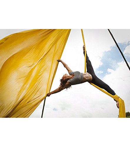 Durable Aerial Silks Starter Kit with 11-Yard Yoga Hammock & Hardware | Aerial Swing for Acrobatic Flying Yoga & All Levels, Aerial Rigging Point up to 14ft, Durable, Safe - color: Yellow